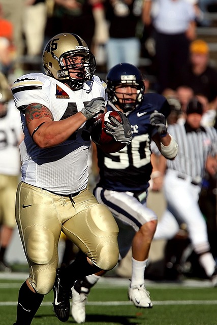 冉升起的新 冉升起的新